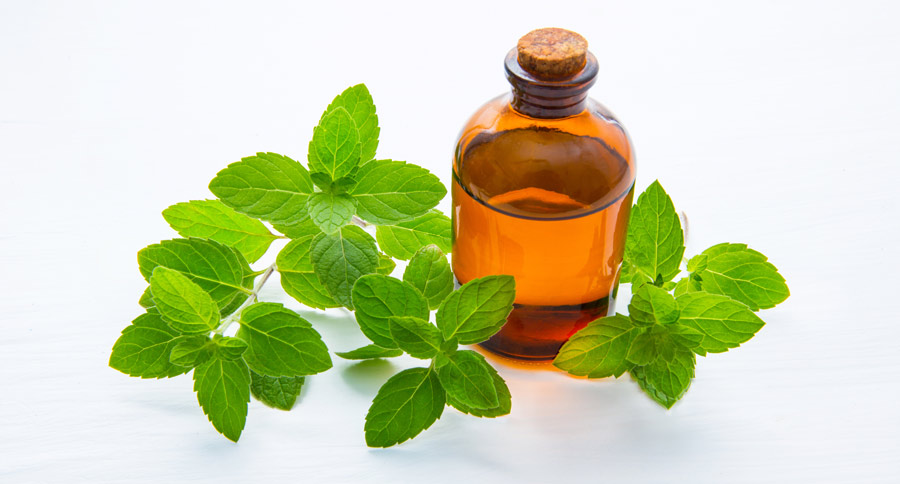 3类危险品薄荷油海运