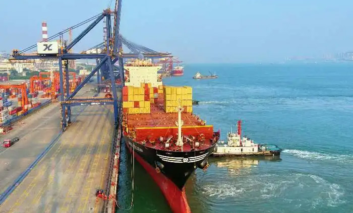 MSC Australia New Zealand Line WALLABY