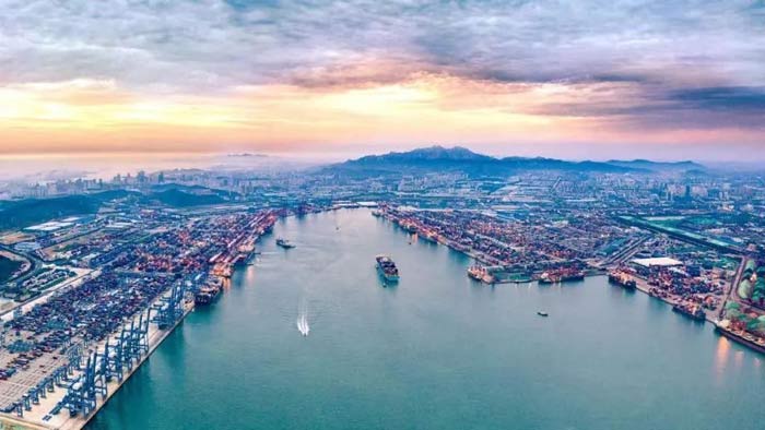 Qingdao Port released the first half of 2024 performance report