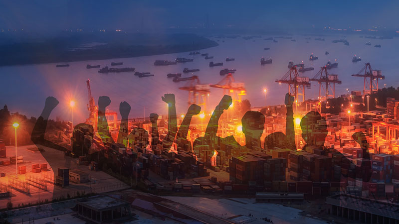 The port strike in the East of the United States caused a significant reduction in shipping capacity