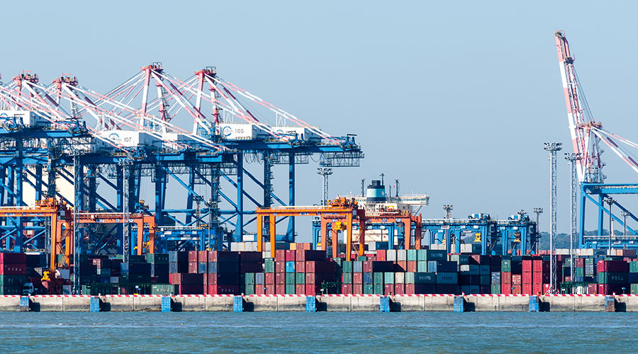 Imports and exports increased by 4.9% in the first 11 months of 2024