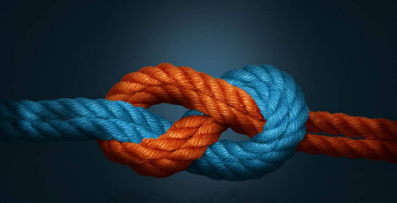 The shipping alliance entered the competition stage