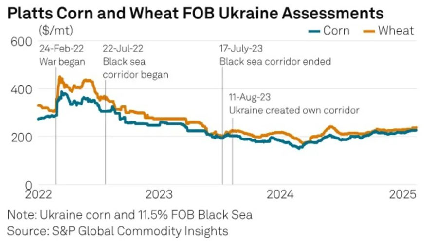 Ukrainian grain market expands