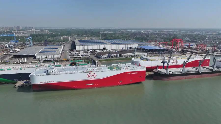 Byd Shenzhen License plate